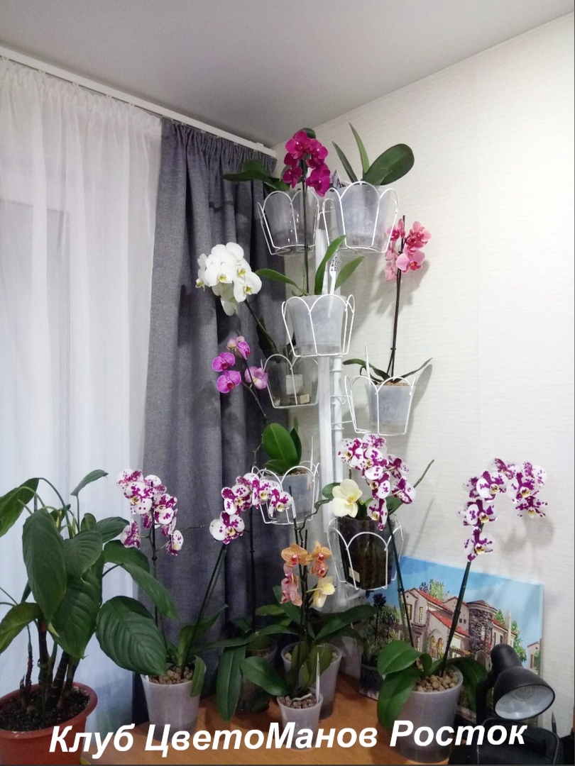 подставка металлическая для цветов на стену. Фото N13