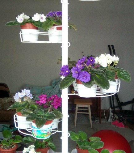 подставка металлическая для цветов на стену. Фото N12