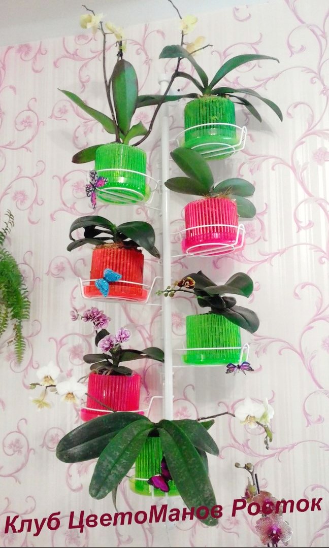 подставка металлическая для цветов на стену. Фото N15