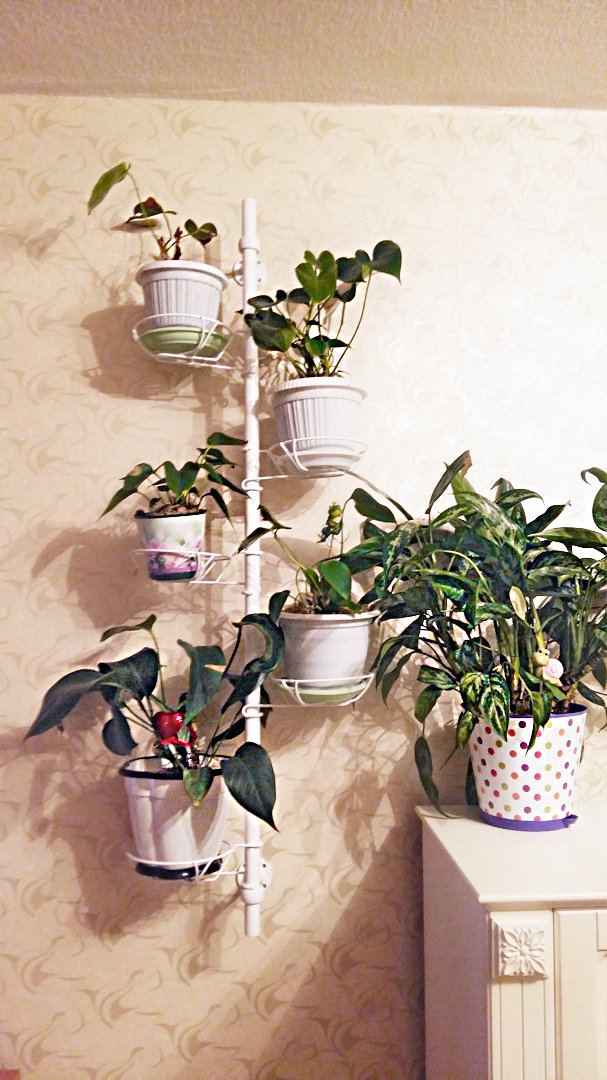 подставка металлическая для цветов на стену. Фото N9