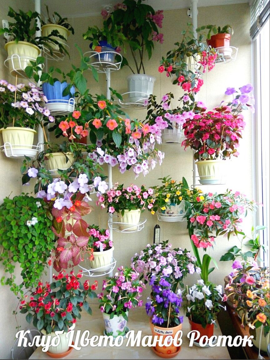 подставка металлическая для цветов на стену. Фото N16